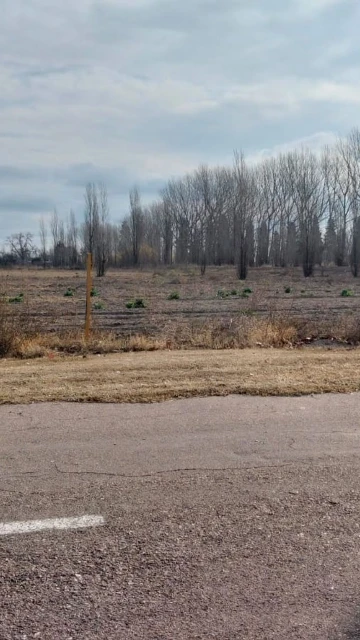 Lotes en Mendoza, General Alvear, Bowen
