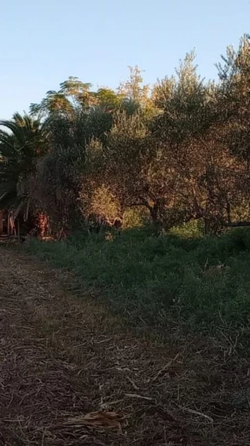 Venta de finca con dos casas mixta,Los corralitos