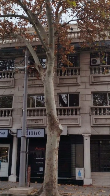 ALQUILER DE OFICINA EN MICROCENTRO MENDOZA