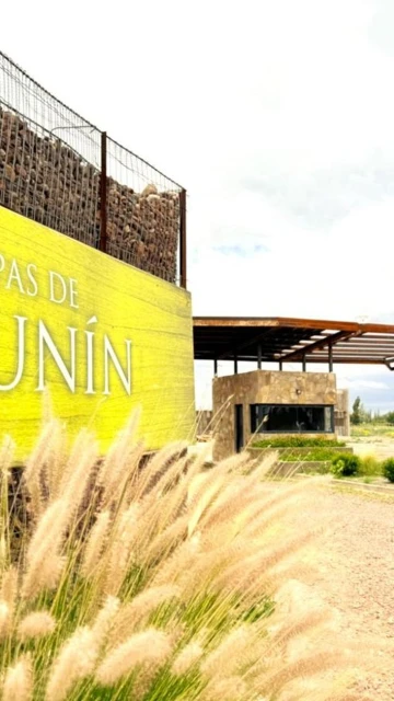 DUPLEX BARRIO PRIVADO CEPAS DE JUNIN MENDOZA