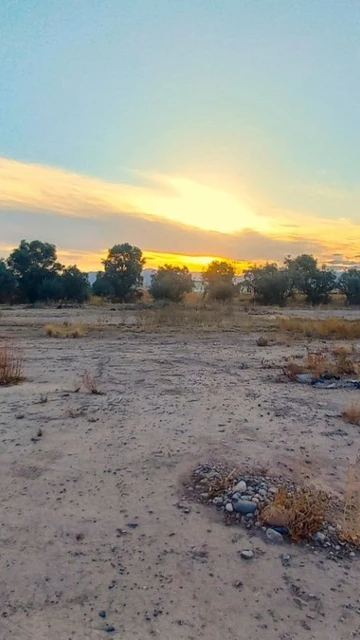 Gran Terreno en Venta - Maipú - Mendoza