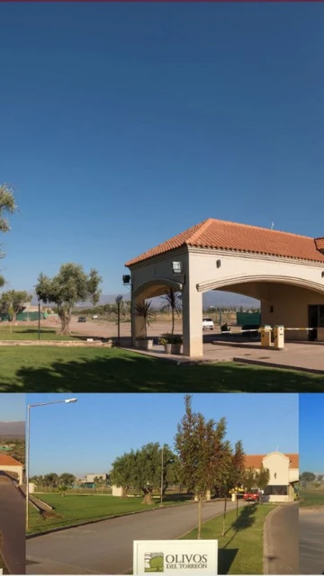 Lote central en B. Olivos de Torreón. Maipú