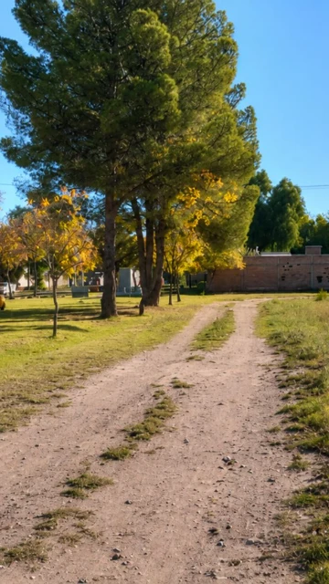 Lote zona residencial, General Alvear, Mendoza