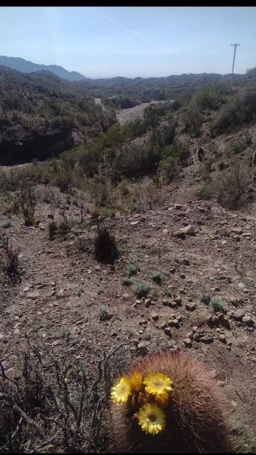 Venta de lotes en Cacheuta, Mendoza