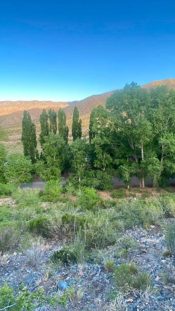Venta lote, Potrerillos, Mendoza