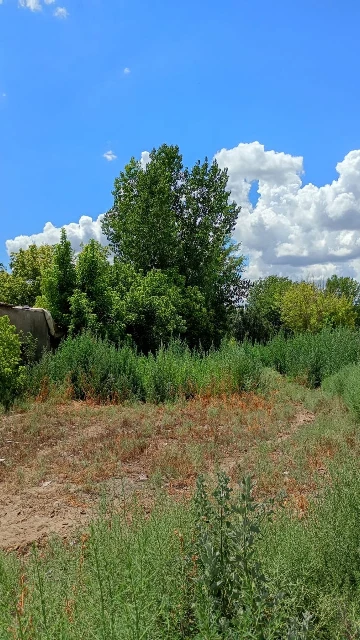 OPORTUNIDAD TERRENO DE 2170 M2 EN VENTA - TUNUYÁN