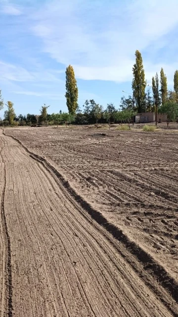 VENTA LOTES LA POSTA JUNIN MENDOZA
