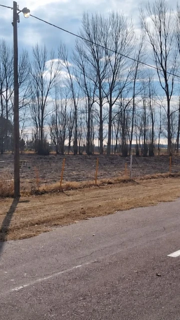 Terreno en Mendoza, General Alvear, Bowen.