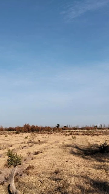 Venta Finca en Real del Padre, San Rafael, Mendoza