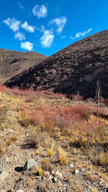 Venta lote Potrerillos, Las vegas, Mendoza