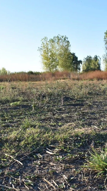 Venta Terreno Capiz San Carlos Mendoza