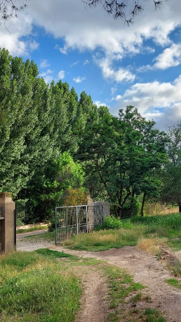 Venta Lote en Perdriel Luján de Cuyo