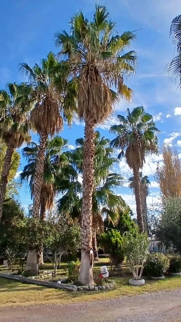 Casa con Quincho, Pileta y Salón