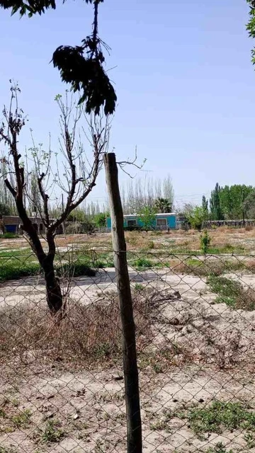 VENTA LOTE SAN MARTIN MENDOZA