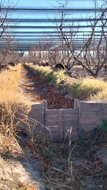 Venta finca productiva, General Alvear, Mendoza