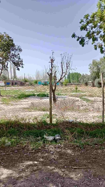 VENTA LOTE DEPARTAMENTO SAN MARTIN MENDOZA