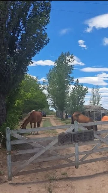 Venta Finca Con Pileta La Dormida Santa Rosa Mza